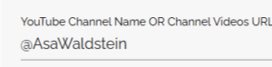 This shows the example of how to add a YouTube channel name with @AsaWaldstein